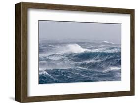 Gale Force Westerly Winds Build Large Waves in the Drake Passage, Antarctica, Polar Regions-Michael Nolan-Framed Photographic Print