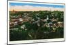 Galena, Illinois, Panoramic Aerial View of the City-Lantern Press-Mounted Art Print