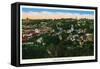 Galena, Illinois, Panoramic Aerial View of the City-Lantern Press-Framed Stretched Canvas