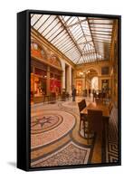 Galerie Vivienne in Paris, France, Europe-Julian Elliott-Framed Stretched Canvas