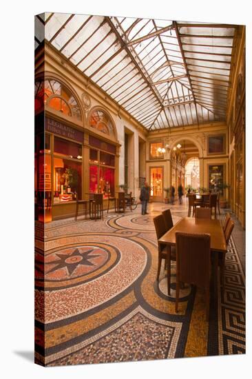 Galerie Vivienne in Paris, France, Europe-Julian Elliott-Stretched Canvas