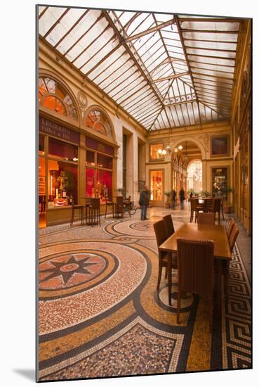 Galerie Vivienne in Paris, France, Europe-Julian Elliott-Mounted Photographic Print