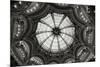 Galeries Lafayette IV BW-Erin Berzel-Mounted Photographic Print