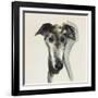 Galgo Espanol-Sally Muir-Framed Giclee Print