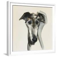 Galgo Espanol-Sally Muir-Framed Giclee Print