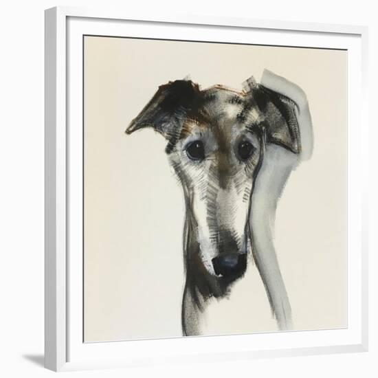 Galgo Espanol-Sally Muir-Framed Giclee Print