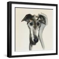 Galgo Espanol-Sally Muir-Framed Giclee Print