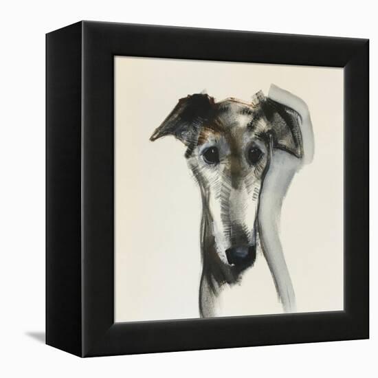 Galgo Espanol-Sally Muir-Framed Stretched Canvas