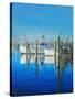 Galilee-Bruce Dumas-Stretched Canvas