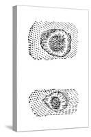 Galileo's Drawing of Lunar Craters, 1611-Galileo Galilei-Stretched Canvas