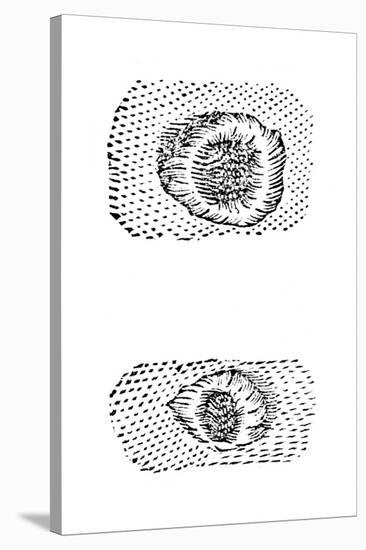 Galileo's Drawing of Lunar Craters, 1611-Galileo Galilei-Stretched Canvas