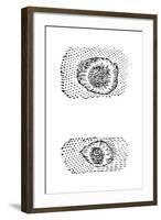 Galileo's Drawing of Lunar Craters, 1611-Galileo Galilei-Framed Giclee Print