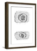 Galileo's Drawing of Lunar Craters, 1611-Galileo Galilei-Framed Giclee Print