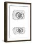 Galileo's Drawing of Lunar Craters, 1611-Galileo Galilei-Framed Giclee Print