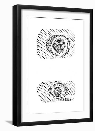Galileo's Drawing of Lunar Craters, 1611-Galileo Galilei-Framed Giclee Print