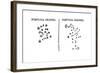 Galileo's Observation of the Star Cluster in Orion and of the Praesepe Cluster, 1610-null-Framed Giclee Print