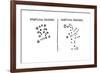 Galileo's Observation of the Star Cluster in Orion and of the Praesepe Cluster, 1610-null-Framed Giclee Print