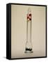 Galileo's Thermometer, 1592-Galileo Galilei-Framed Stretched Canvas