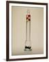 Galileo's Thermometer, 1592-Galileo Galilei-Framed Photographic Print