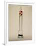 Galileo's Thermometer, 1592-Galileo Galilei-Framed Photographic Print