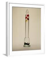 Galileo's Thermometer, 1592-Galileo Galilei-Framed Photographic Print