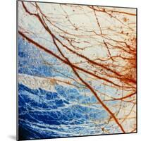 Galileo Spacecraft Image of Europa's Surface-null-Mounted Premium Photographic Print