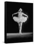 Galina Wanova Dancing "The Dying Swan"-null-Framed Stretched Canvas