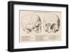 Gall's Phrenological System - the Skull Seen from Side and Front-null-Framed Photographic Print