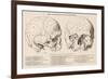 Gall's Phrenological System - the Skull Seen from Side and Front-null-Framed Photographic Print