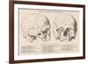 Gall's Phrenological System - the Skull Seen from Side and Front-null-Framed Photographic Print