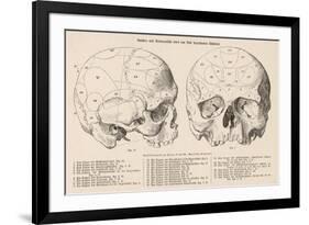 Gall's Phrenological System - the Skull Seen from Side and Front-null-Framed Photographic Print