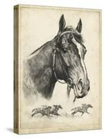 Gallant Fox-R.H. Palenske-Stretched Canvas