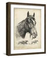 Gallant Fox-R.H. Palenske-Framed Art Print