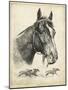 Gallant Fox-R.H. Palenske-Mounted Art Print