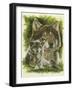 Gallant-Barbara Keith-Framed Giclee Print