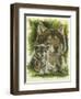 Gallant-Barbara Keith-Framed Premium Giclee Print