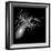 Gallbladder And Biliary Tree, 3D MRI-Du Cane Medical-Framed Photographic Print