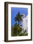 Galle Lighthouse, Old Town of Galle, UNESCO World Heritage Site, Sri Lanka, Asia-Matthew Williams-Ellis-Framed Photographic Print