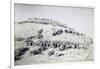 Galleano's Battery of Mountain Artillery from Part of Special Corps of Africa-null-Framed Giclee Print