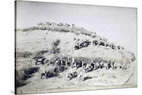 Galleano's Battery of Mountain Artillery from Part of Special Corps of Africa-null-Stretched Canvas