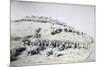Galleano's Battery of Mountain Artillery from Part of Special Corps of Africa-null-Mounted Giclee Print