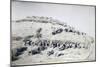 Galleano's Battery of Mountain Artillery from Part of Special Corps of Africa-null-Mounted Giclee Print