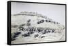 Galleano's Battery of Mountain Artillery from Part of Special Corps of Africa-null-Framed Stretched Canvas