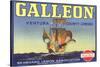 Galleon Lemon Label-null-Stretched Canvas