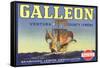 Galleon Lemon Label-null-Framed Stretched Canvas