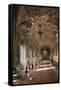 Gallery of Mirrors, Palazzo Doria Pamphilj, Rome, Lazio, Italy, Europe-Peter-Framed Stretched Canvas