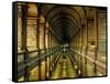 Gallery of the Old Library, Trinity College, Dublin, County Dublin, Eire (Ireland)-Bruno Barbier-Framed Stretched Canvas