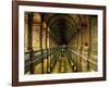 Gallery of the Old Library, Trinity College, Dublin, County Dublin, Eire (Ireland)-Bruno Barbier-Framed Photographic Print