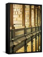 Gallery of the Old Library, Trinity College, Dublin, County Dublin, Eire (Ireland)-Bruno Barbier-Framed Stretched Canvas