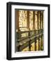 Gallery of the Old Library, Trinity College, Dublin, County Dublin, Eire (Ireland)-Bruno Barbier-Framed Photographic Print